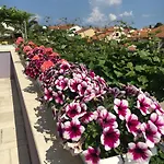Millefiori - Appartement *