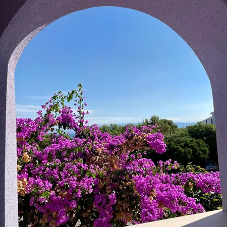 Apartman Millefiori - *