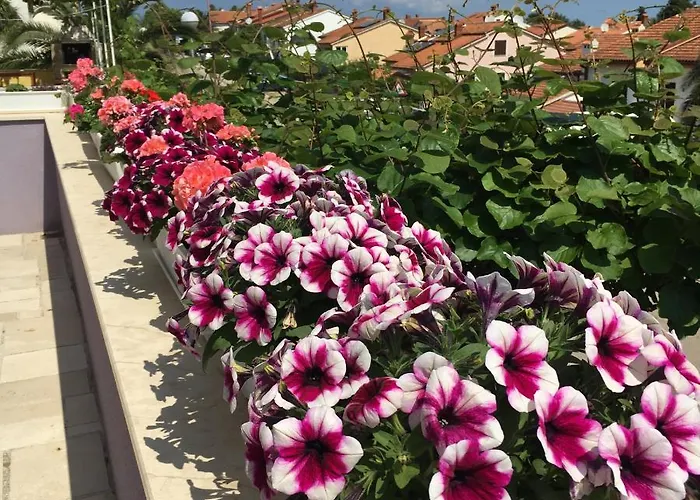 Millefiori - Apartman *