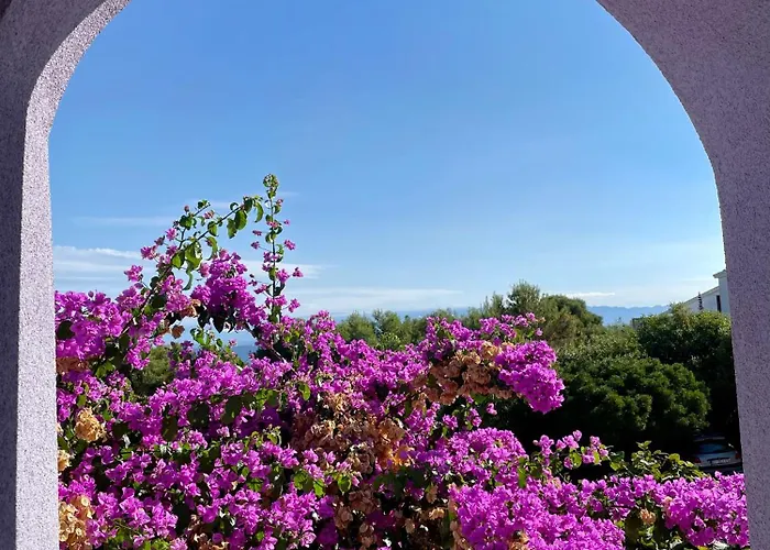 Apartman Millefiori - *
