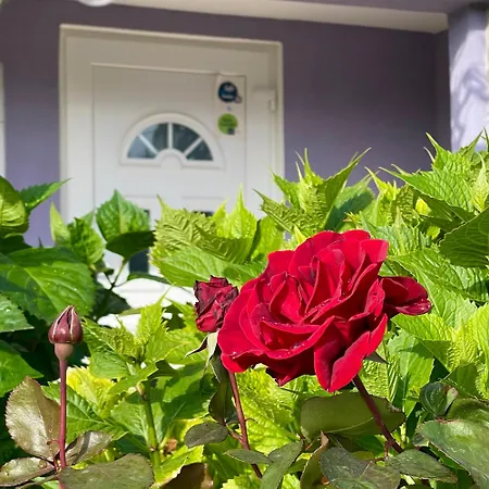 Millefiori - Apartamento